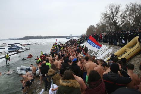 bogojavljenje-zemunski-kej-plivanje-za-casni-krst.jpg