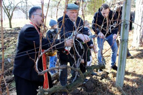 sveti-trifun-slava-vinograd.jpg