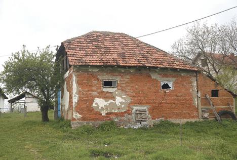 ljubisa-bogdanovic-branko-bogdanovic-dobrila-bogdanovic.jpg