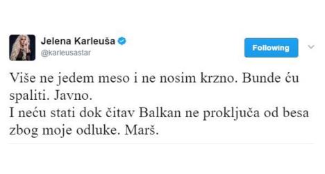 jelena-karleusa.jpg