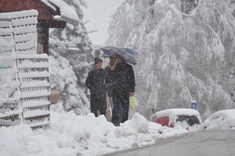 zlatibor-sneg.jpg