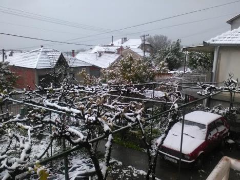 vranje-sneg-april.jpg