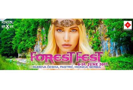 forest-fest.jpg