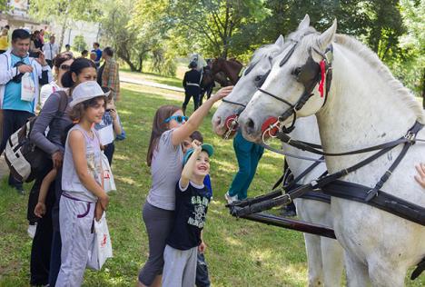 sveta-srbija-psd-sveta-srbija-sportsko-sabranje-svete.jpg