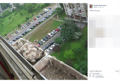 soko-blokovi-foto-fb-printscreen.jpg