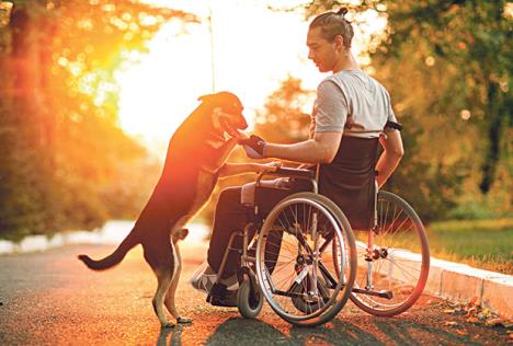 stockphotohappymanwithhisdogatsunsetaguyinawheelchair478702096.jpg