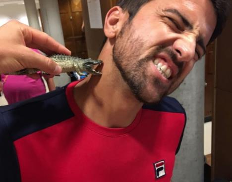 tipsarevic.jpg