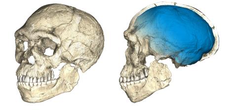 fosili-maroko-r01.jpg