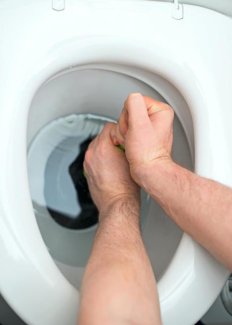 Metod Ruskinja za čišćenje wc šolje