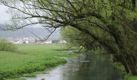 zabljak.jpg