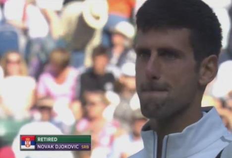 nole-4.jpg