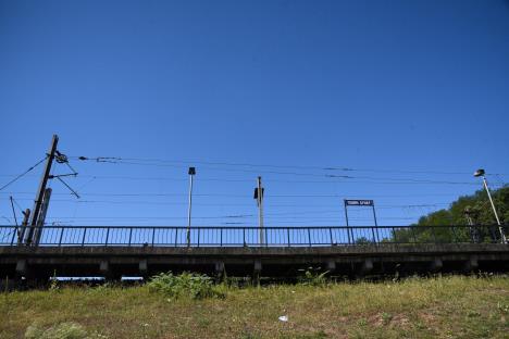 zeleznice-srbije-foto-nebojsa-mandic.jpg