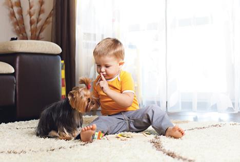 stockphotoboywithdoginlivingroom102660485.jpg