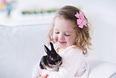 stockphotochildplayingwitharealrabbitkidsplaywithpetslittlegirlholdingbunnychildrenand291515519.jpg