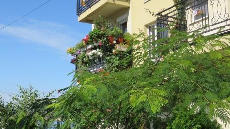 balkon-terasa-foto-beta-zelenilo-beograd.jpg