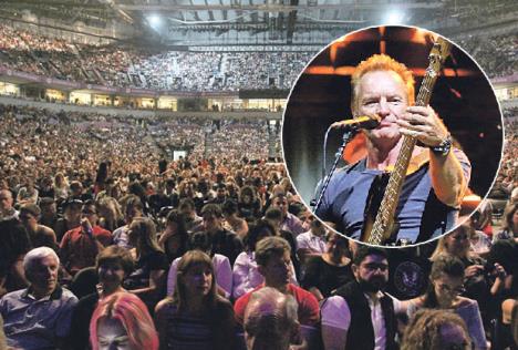 sting-arena-1.jpg