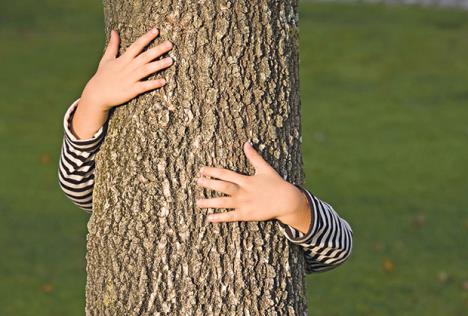 stockphotoyounggenerationembracingnaturewithahugatatree19518130.jpg