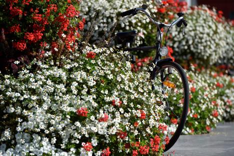 prolece-leto-lepo-vreme-foto-reuters-avg-2017.jpg