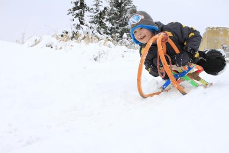 sneg-sanke-sankanje-foto-ap-jan-2016-.jpg