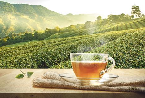 stockphotowarmcupofteaandtealeafandsackonthewoodentableandtheteaplantationsbackground577417366.jpg