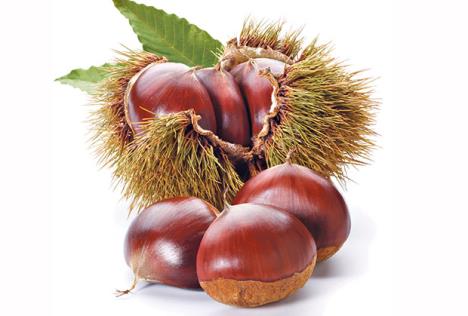 stockphotochestnuts116724775.jpg