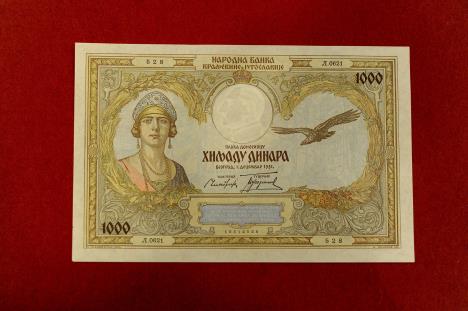 dinar-foto-zorana-jevtic-1-.jpg