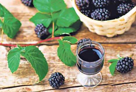 stockphotoliqueurfromblackberryinashotglassstylerusticselectivefocus309363965.jpg