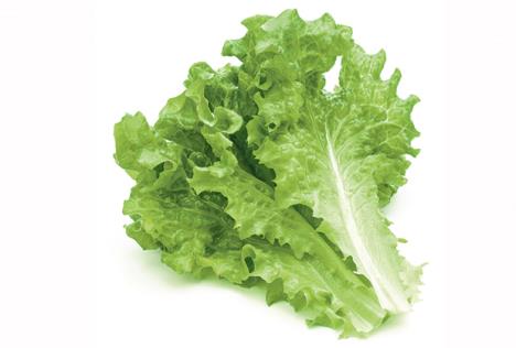 stockphotofreshgreenlettucesaladleavesisolatedonwhitebackground661526701.jpg