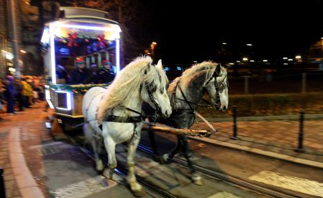 tramvaj-konjska-vuca-foto-tanjug-tanja-valic-3.jpg