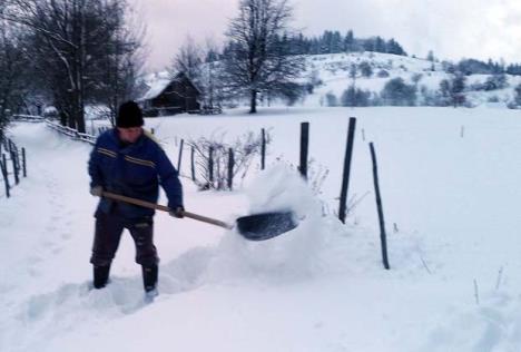 zlatar-sneg-22-1-3.jpg