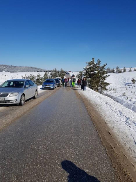 zlatibor.jpg