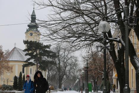 zabelela-se-kikinda-centar-foto-s.u..jpg