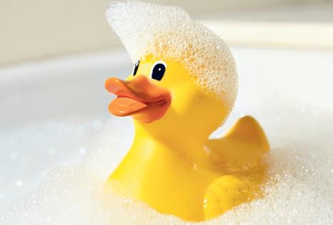 stockphotorubberduckcoveredinsoap87386513.jpg