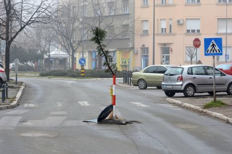 rupa-rupe-udarne-rupe-foto-beta-dragan-gojic-jan-2014.jpg