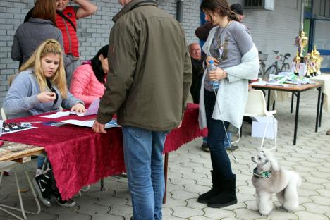 jagodina-izlozba-pasa-foto-tanjug-dusan-anicic-2.jpg