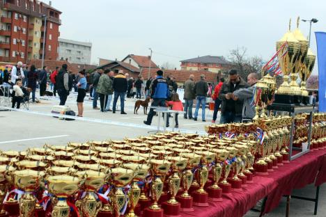 jagodina-izlozba-pasa-foto-tanjug-dusan-anicic-5.jpg