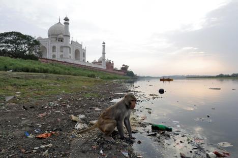 reuters-saumya-khandelwal03.jpg