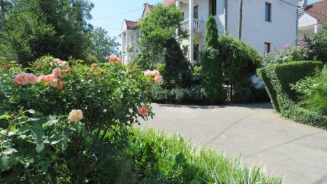 najlepsi-balkon-takmicenje-zelenilo-foto-beoinfo-2.jpg