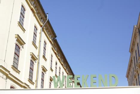 weekend-media-festival-1.jpg