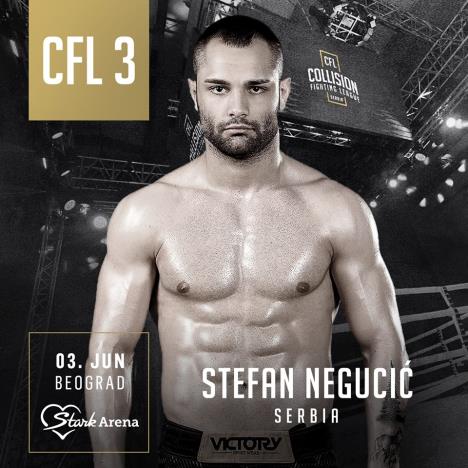 cfl-3-stefan-negucic.jpg