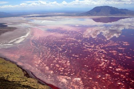 profimedia0008235126-lake-natron-tanzania.jpg