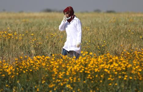 reuters-ibraheem-abu-mustafa.jpg