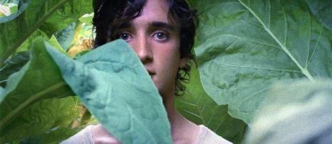 happy-as-lazzaro.jpg