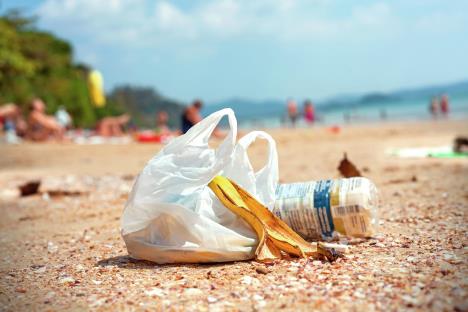 stockphotogarbageonabeachenvironmentalpollutionconceptpicture246831199.jpg