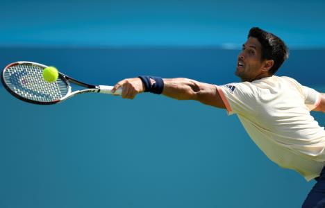 verdasko01.jpg