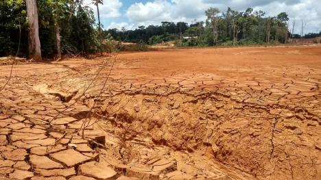 pomeranje-datuma-kada-ulazimo-u-ekoloski-dug-posledica-je-i-klimatskih-promena-c-wwf.jpg