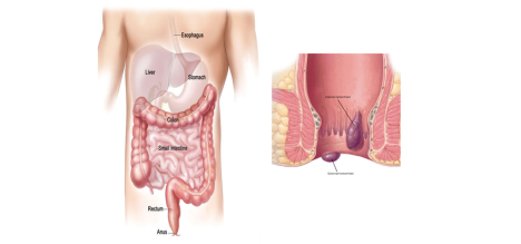 body-scheme.jpg