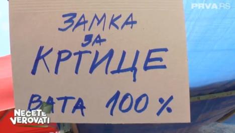 zamka-za-krtice-foto-tv-prva-printscreen.jpg