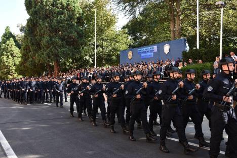 stefanovic-sremska-kamenica-foto-beta-dragan-gojic-5.jpg