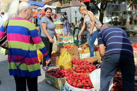 ajvar-paprike-jagodina-foto-tanjug-dusan-anicic-2.jpg